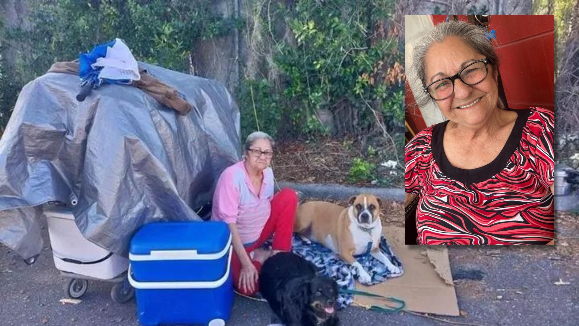 Recaudan dinero para ayudar a anciana cubana que vive en calles de Tampa