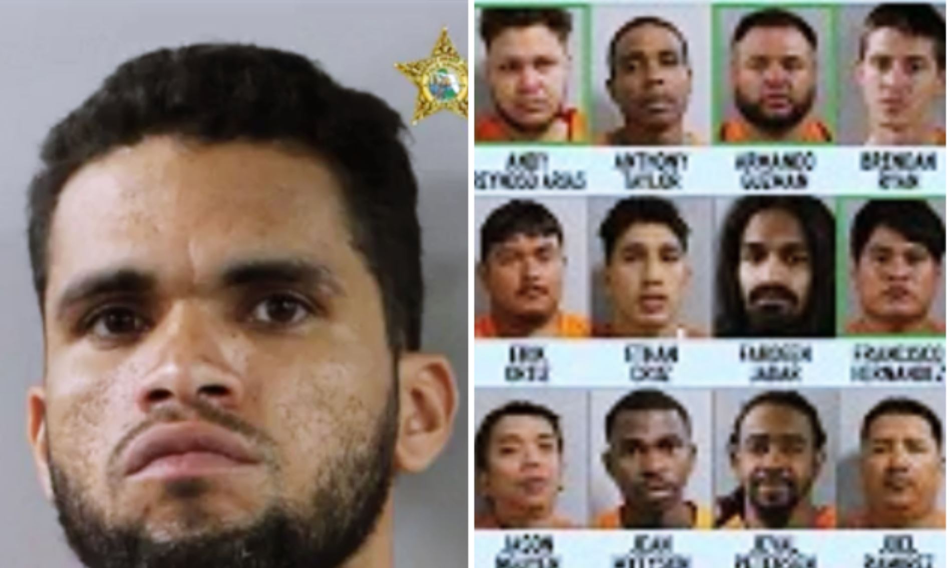Redada en Florida destruye red de tráfico humano: 35 ilegales entre los detenidos