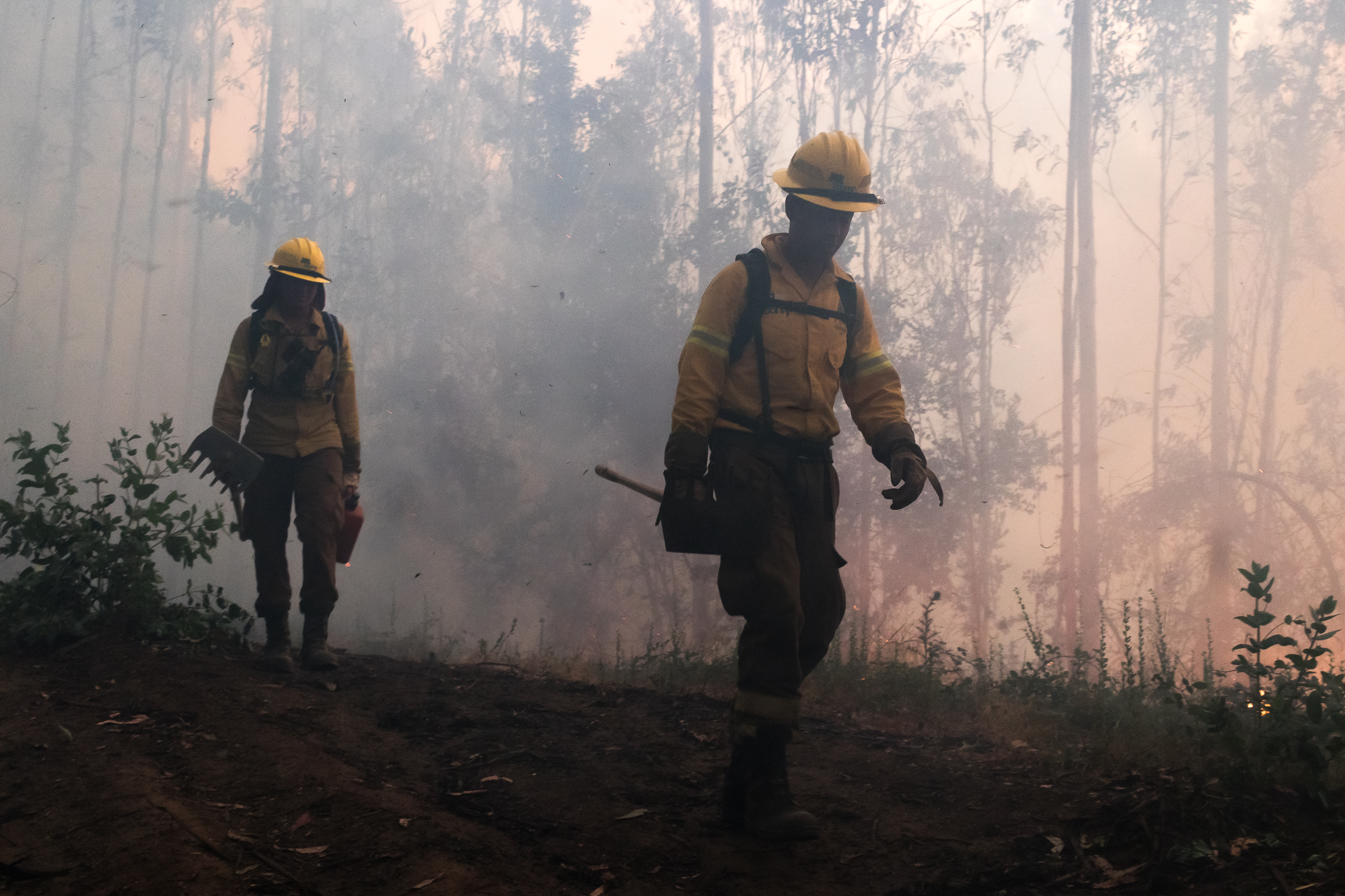 Se eleva a 16 el número de muertos en los incendios forestales de Chile
