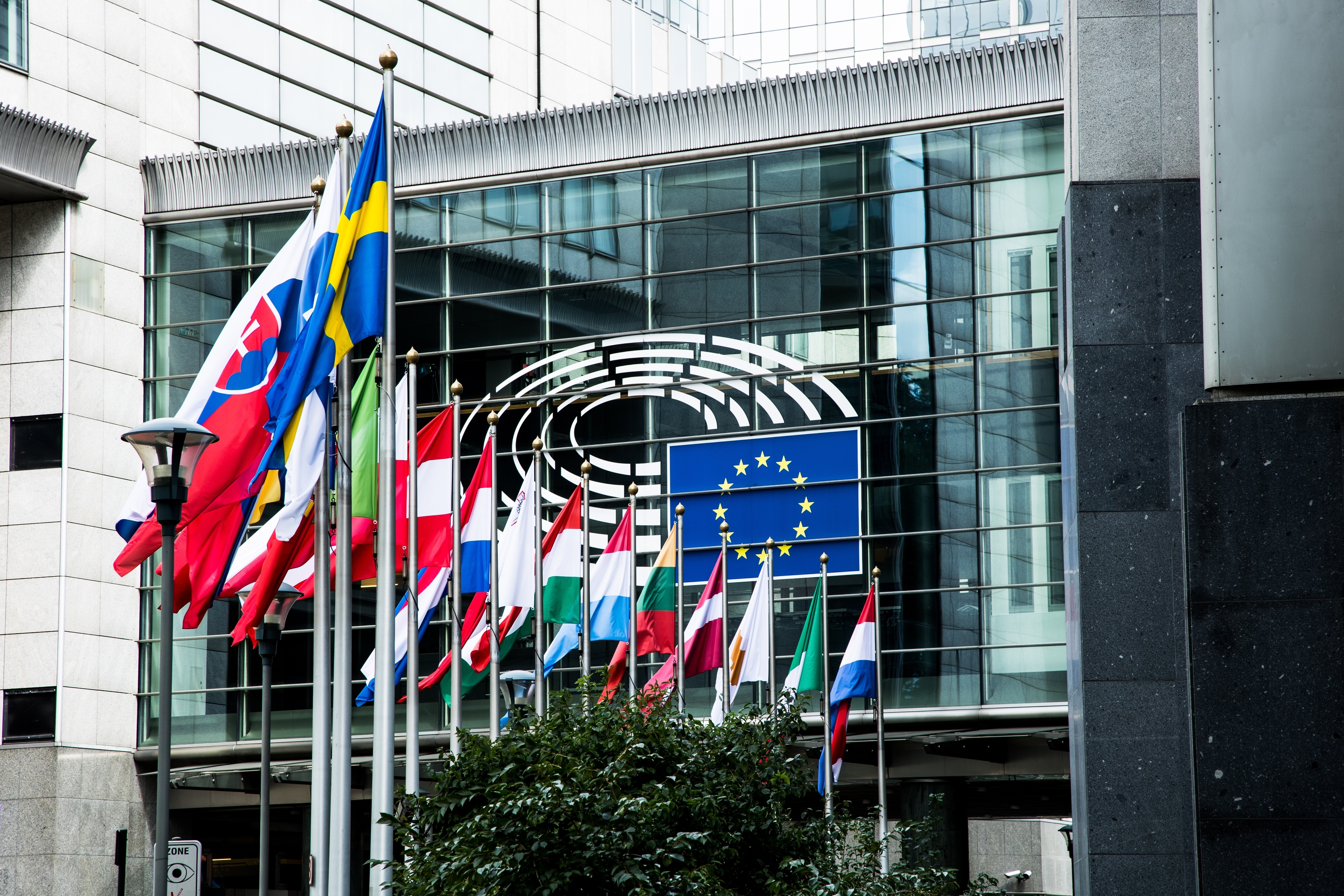 Subcomisión del Parlamento Europeo exige liberación de Ferrer y Navarro en Cuba