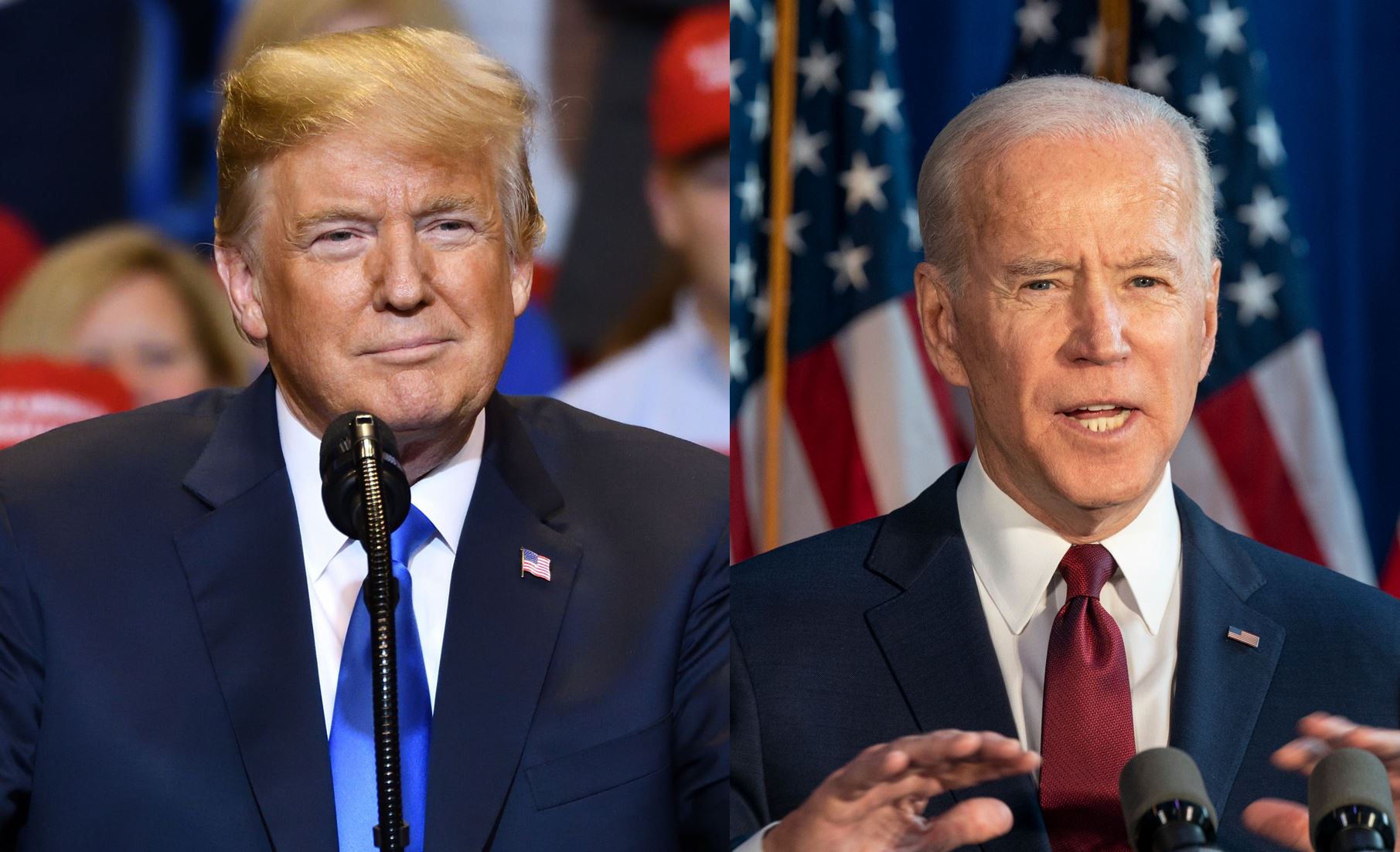 The Wall Street Journal: Trump derrotaría a Biden en elecciones de 2024