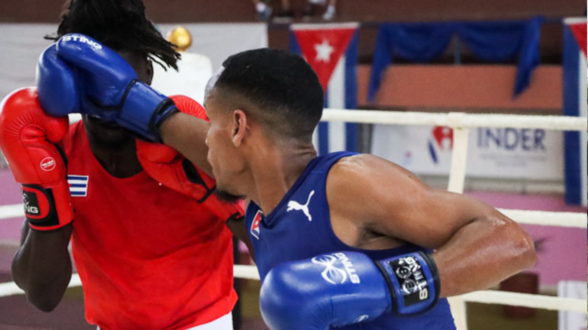 Torneo boxístico en Cuba: por primera vez permiten púgiles con “barbas, bigotes y tatuajes moderados” 