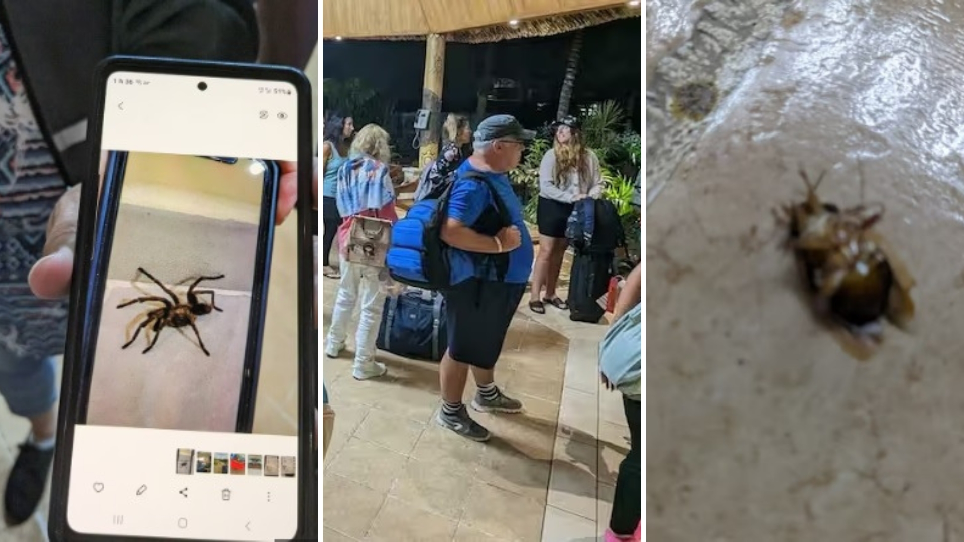 Turistas canadienses se quejan de condiciones en Cuba: “Nos dejaron en un agujero de mierda”