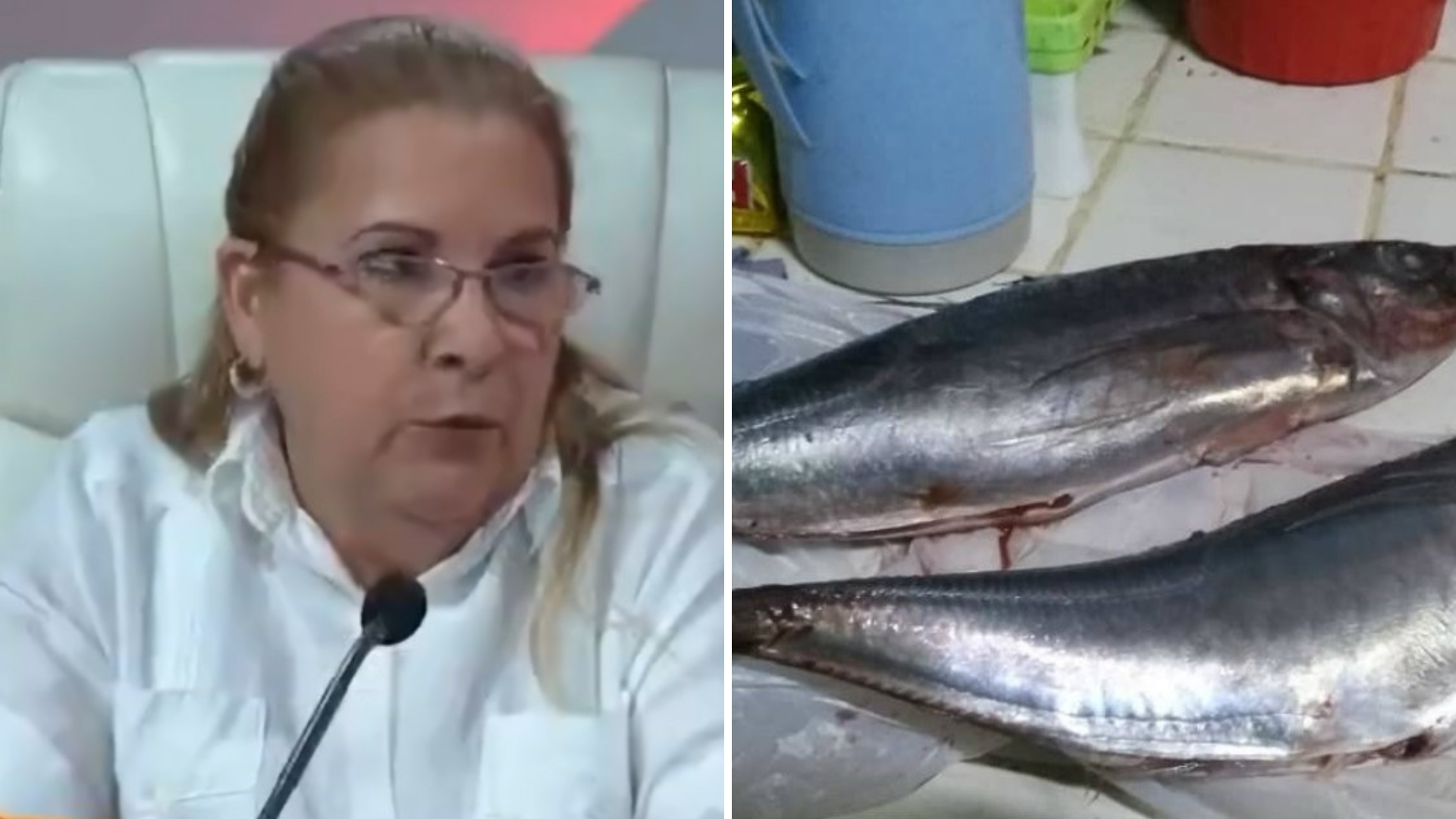 Viceministra del régimen asegura que “no hay peces en mares de Cuba” para cubrir la demanda de la población