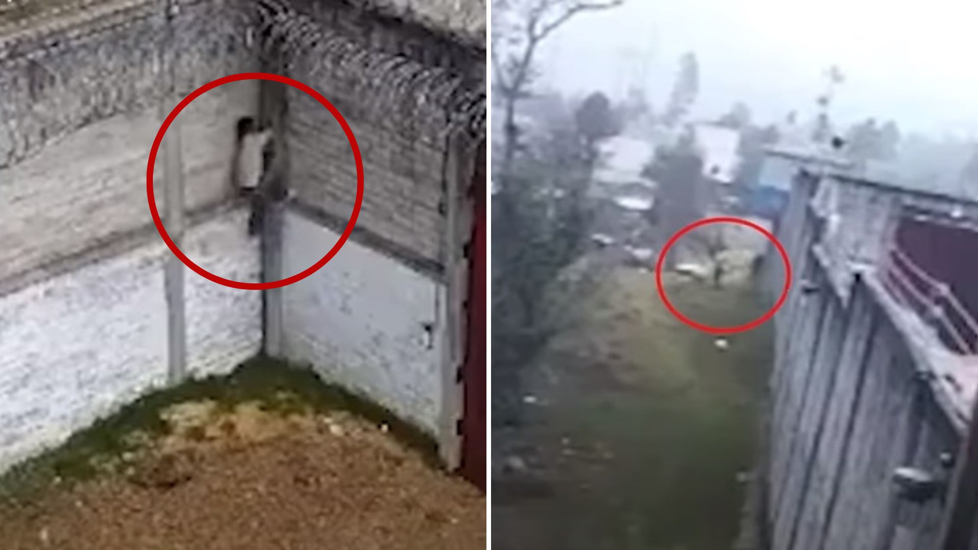 VIDEO: Así fue la rápida fuga de un reo en una prisión de México 