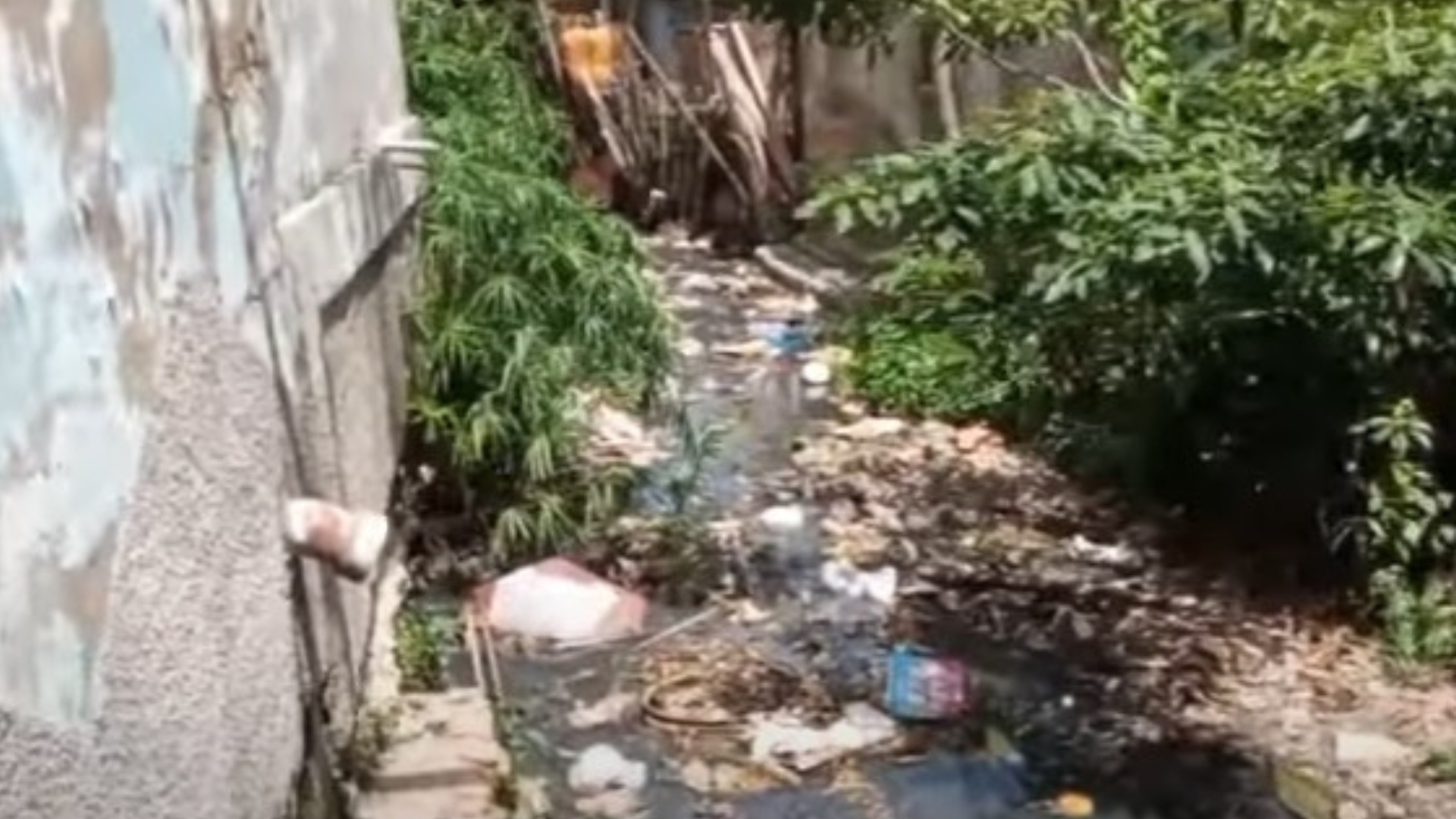 VIDEO: Así se ven las calles de "Cuba libre"
