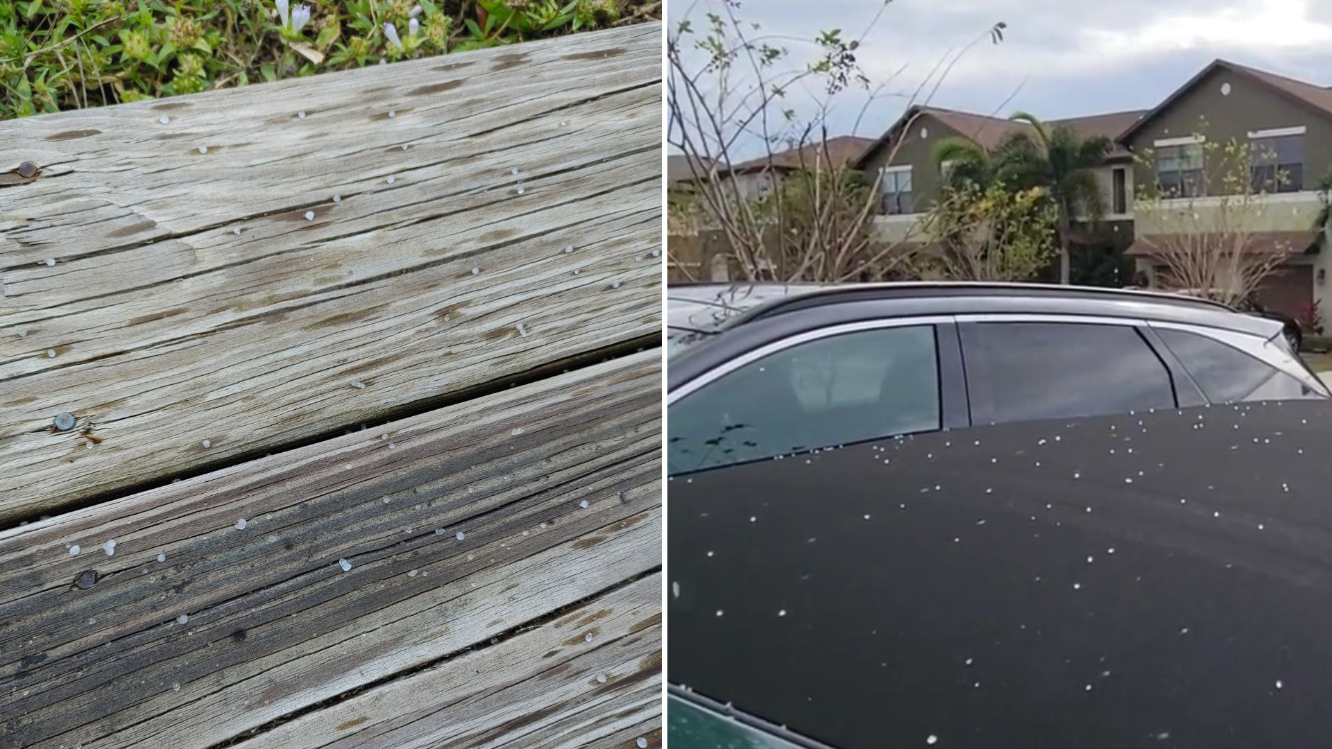 VIDEO: Cae aguanieve en Florida durante víspera de Navidad 