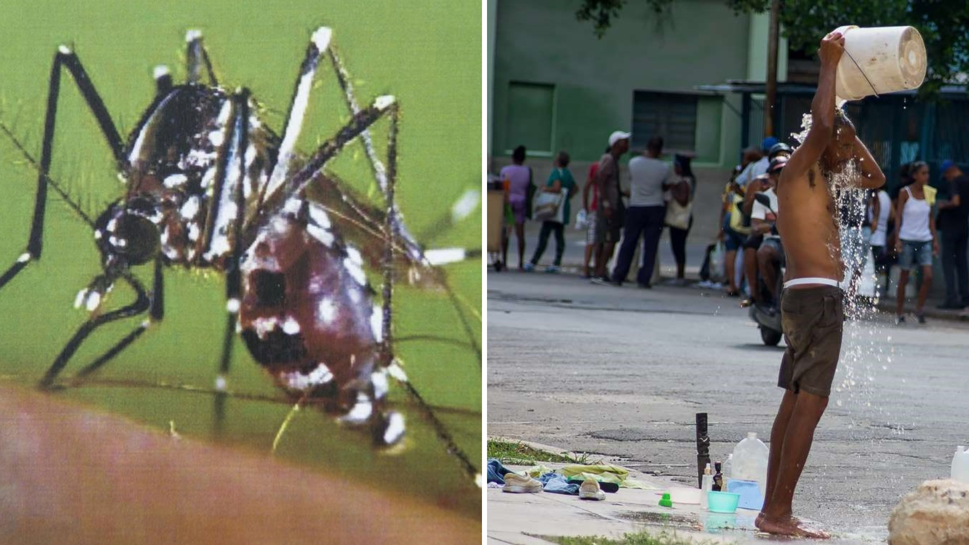 VIDEO: Calor y mosquitos en Jaimanitas