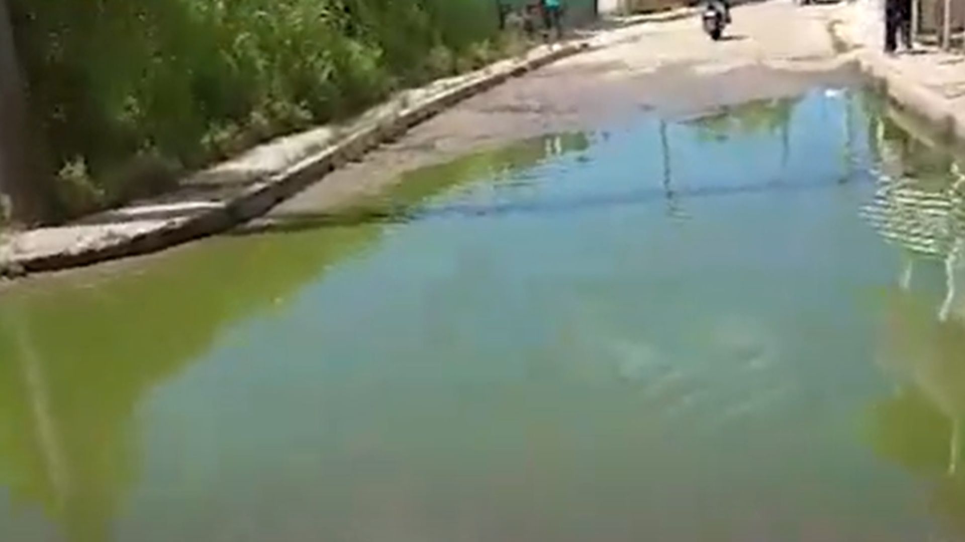 VIDEO: Denuncian charco verde en calle de Jaimanitas
