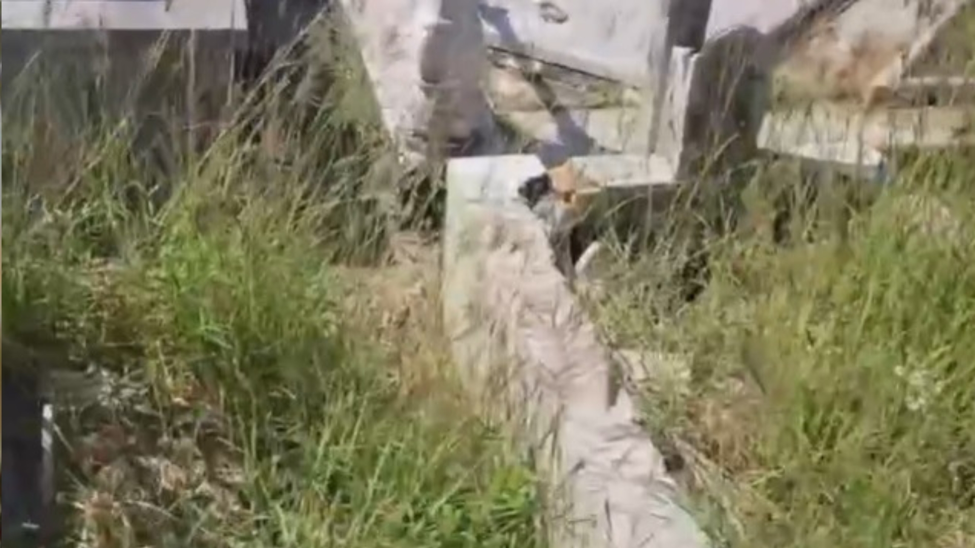 Video: denuncian estado de abandono de Cementerio Colón