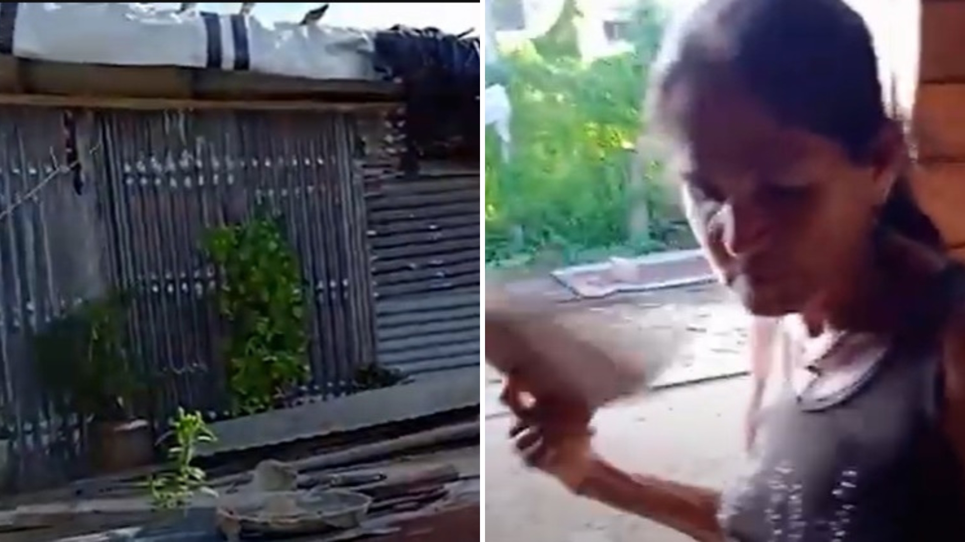 Video: denuncian que campesina epiléptica vive en la miseria en Cuba