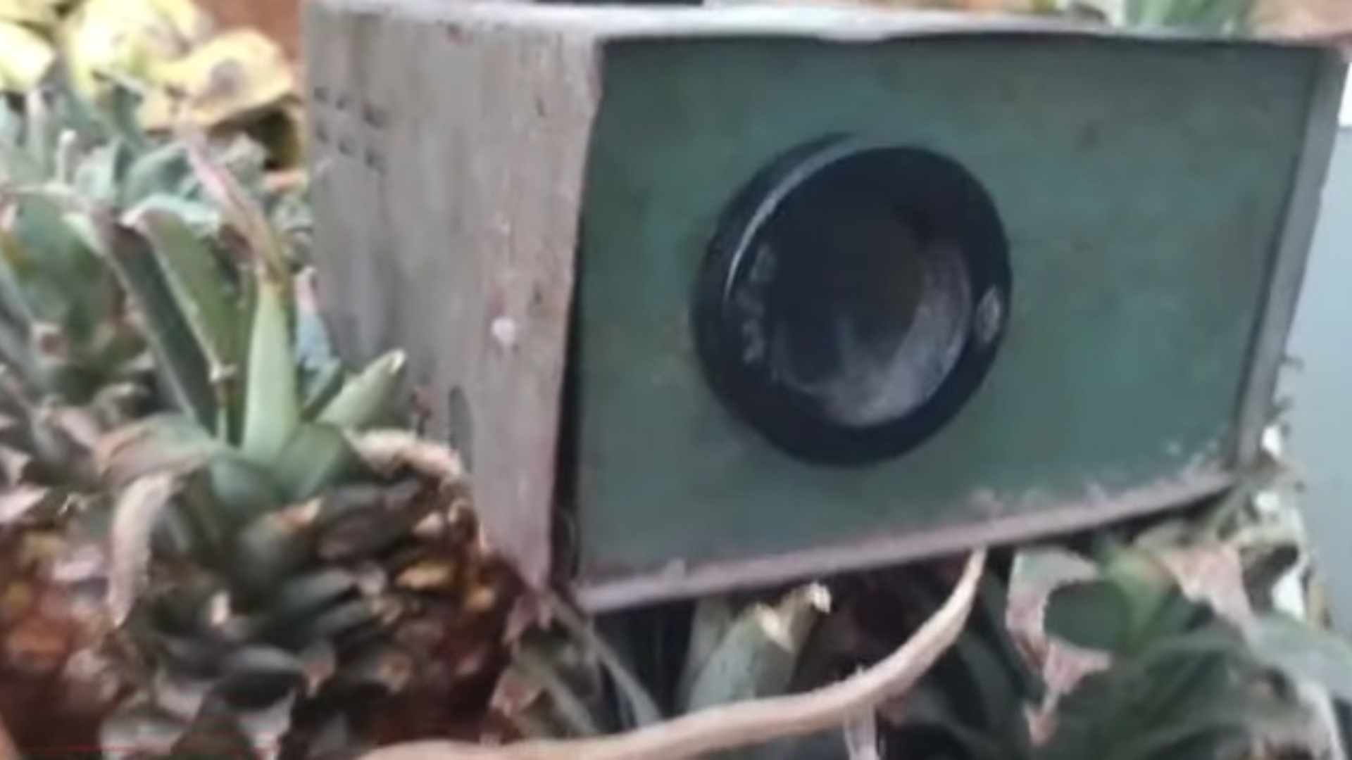VIDEO: Desde una calle cualquiera de Cuba