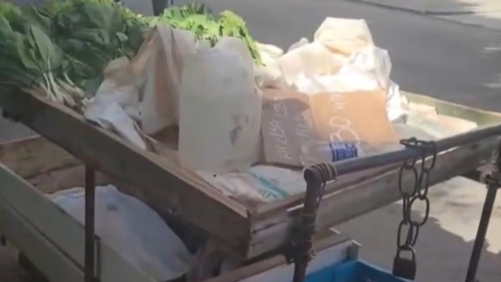Video: jugándosela para sobrevivir en Cuba