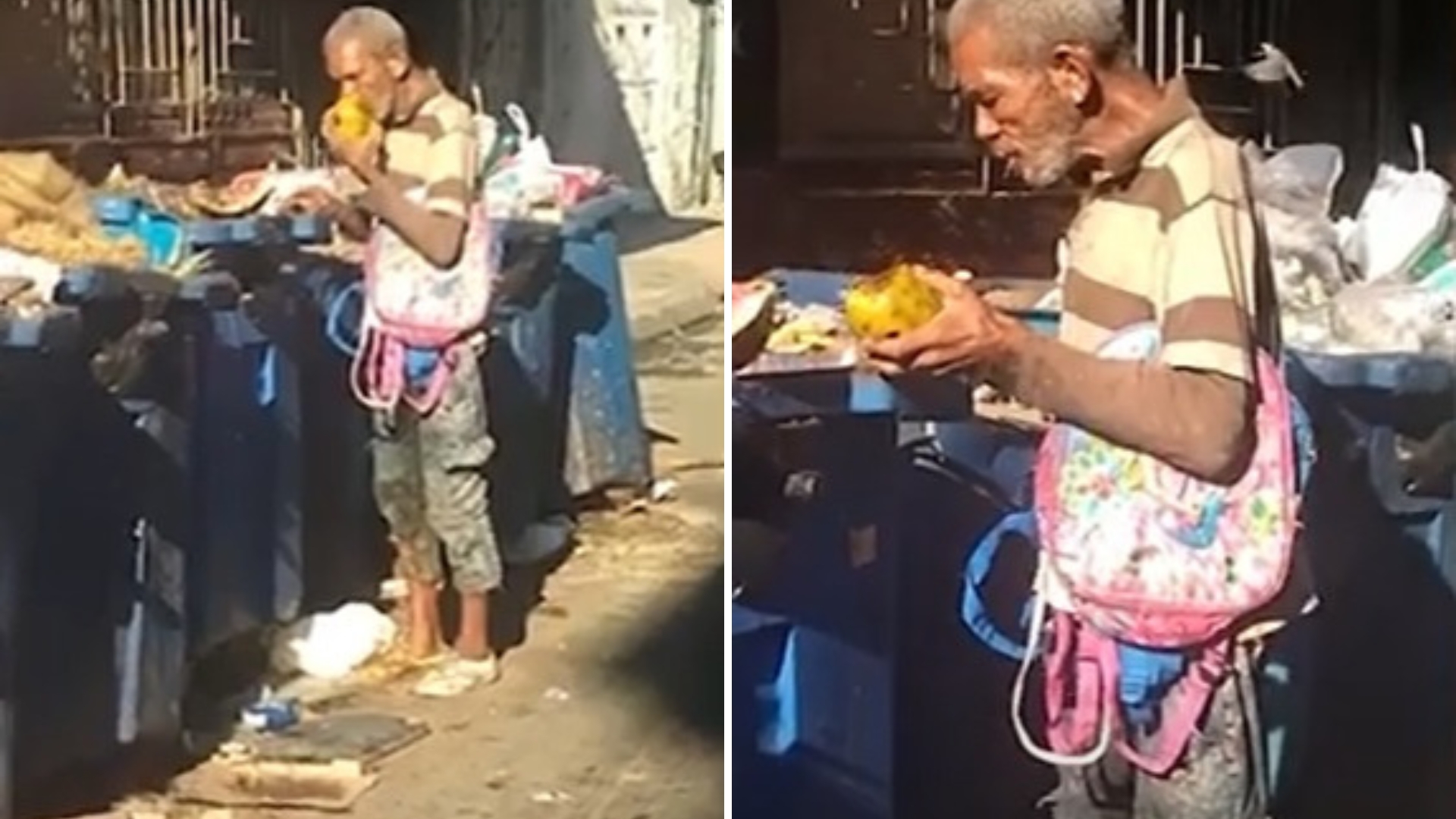 VIDEO: los ancianos cubanos se alimentan de la basura