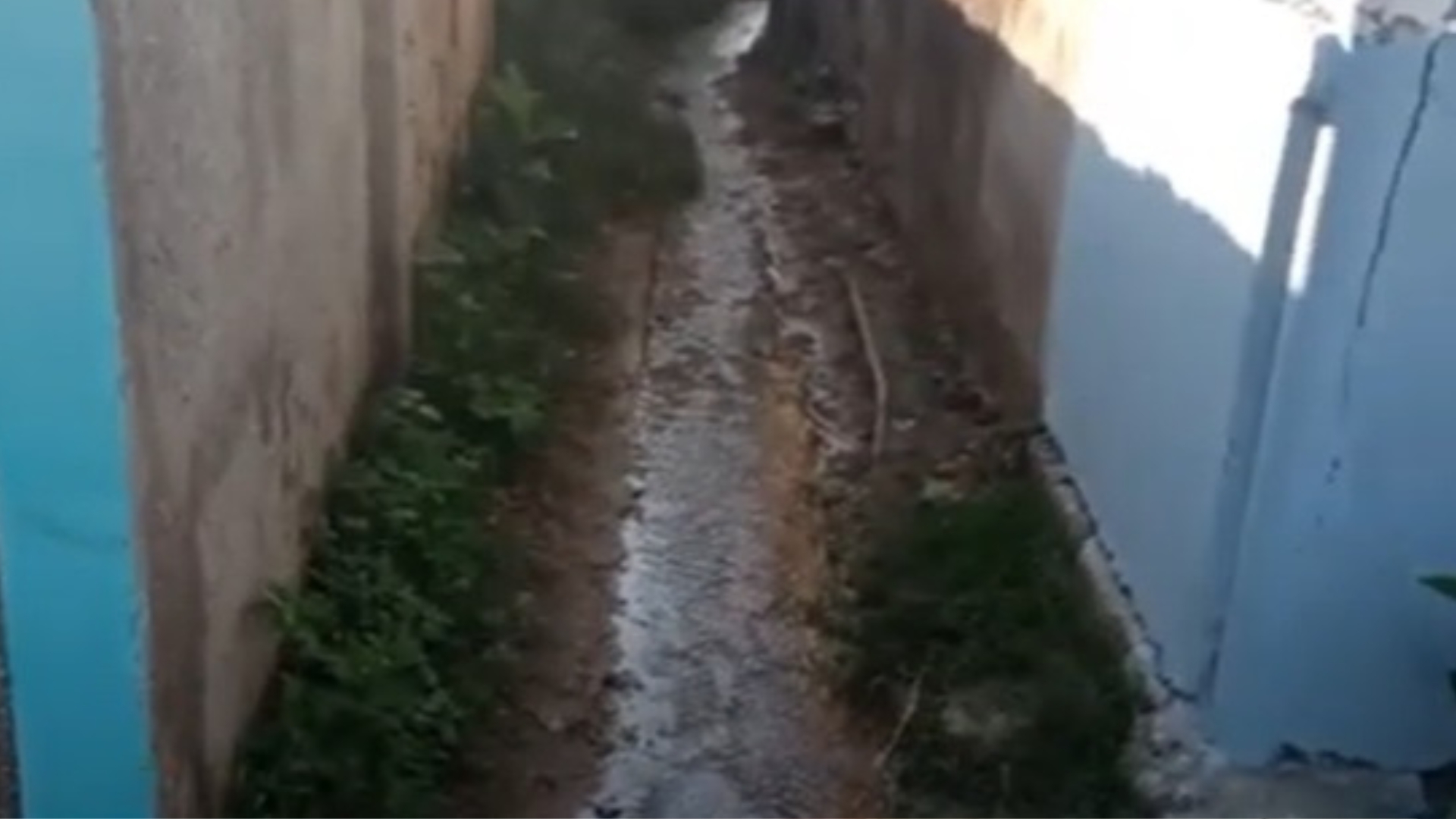 VIDEO: Mucho salidero y poca voluntad en Pinar del Río