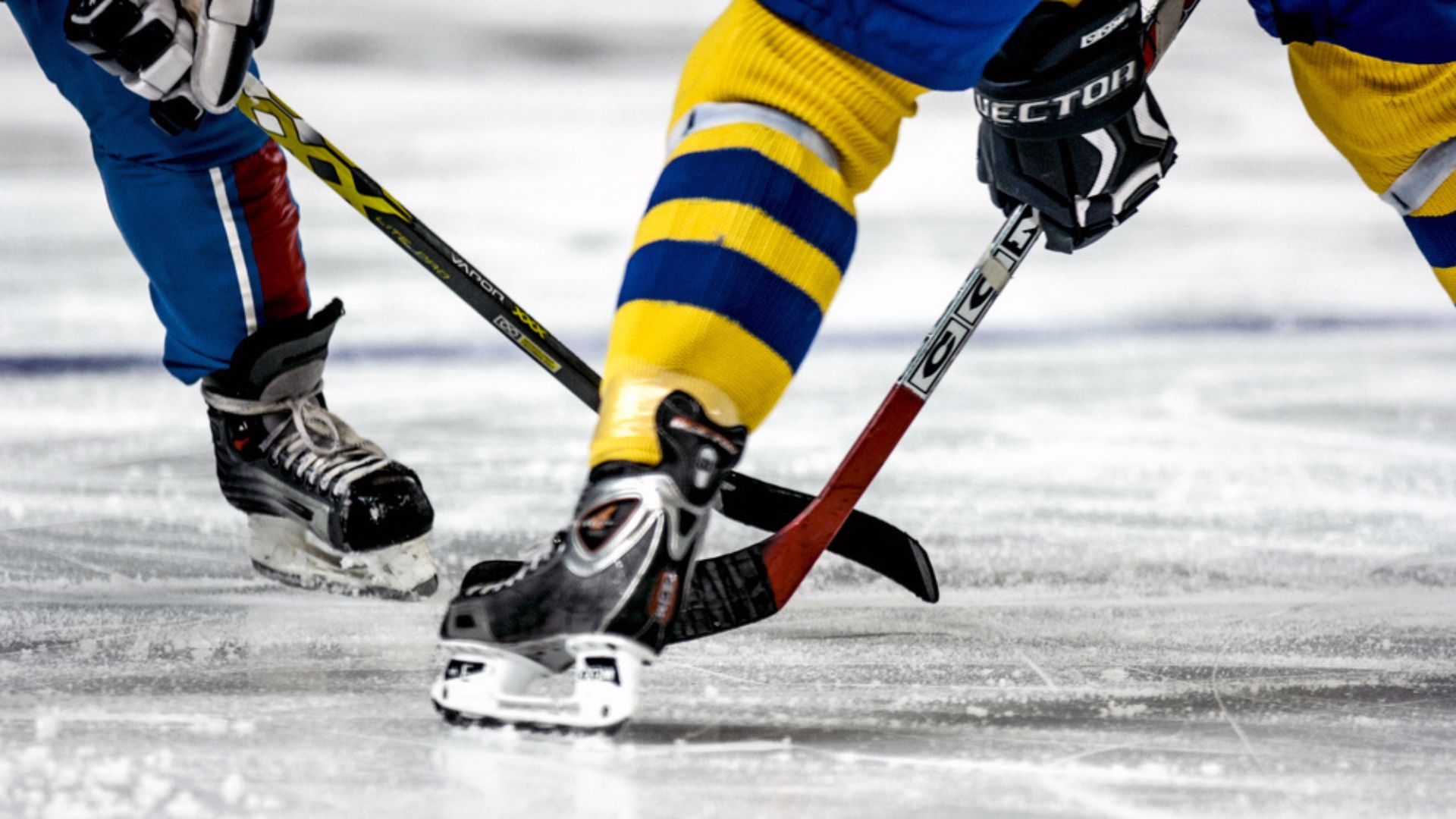 VIDEO: Muere jugador de hockey tras cortarse el cuello con la cuchilla de un patín en pleno partido 
