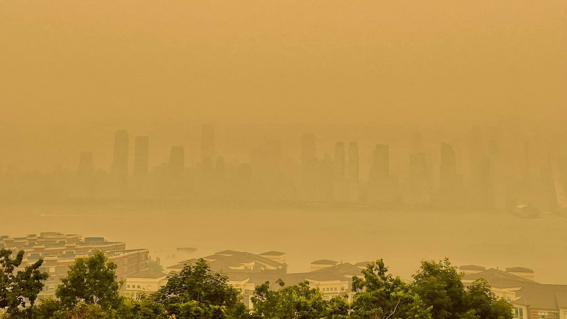 VIDEO: Nueva York “se ahoga” con el humo de los incendios forestales de Canadá 