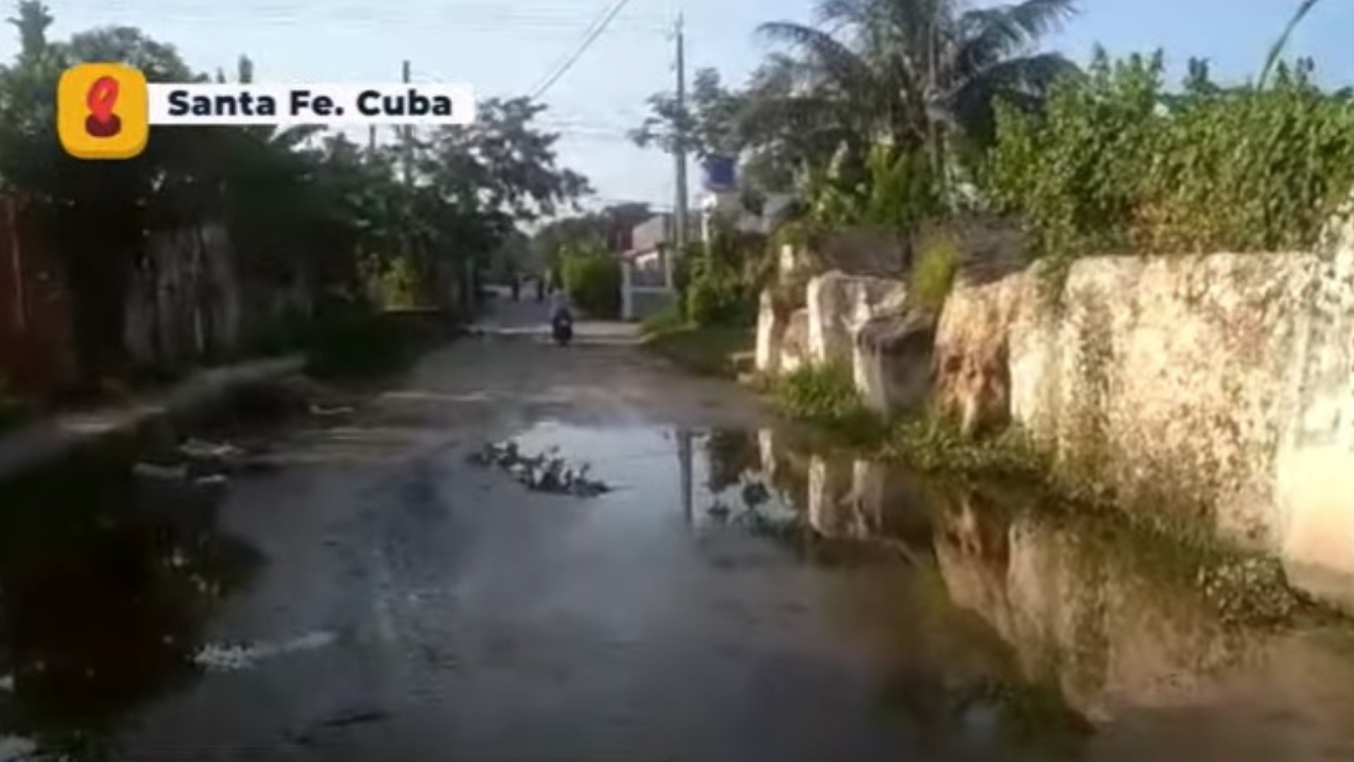 VIDEO: Viviendo en un pantano