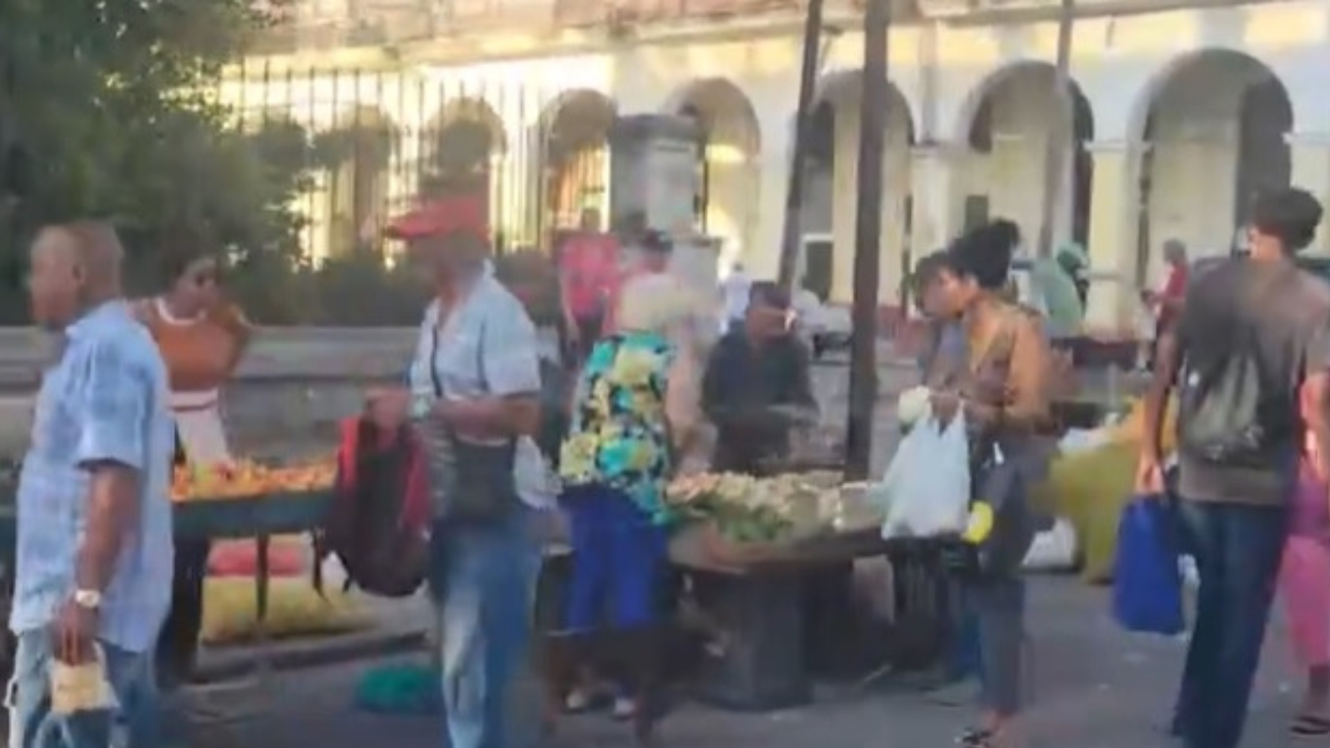 Videos: recorriendo la Feria Agropecuaria de La Habana