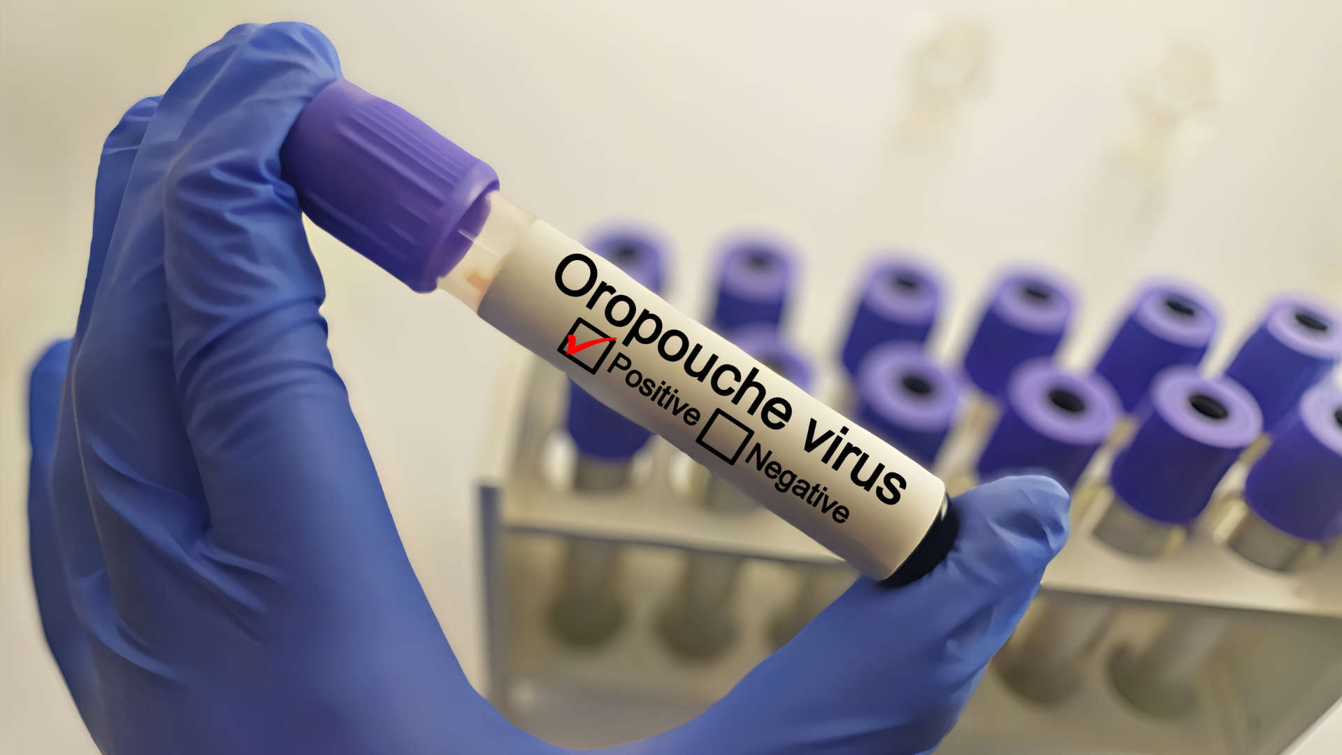 Virus del Oropouche se propaga por toda Cuba, con más de 600 casos