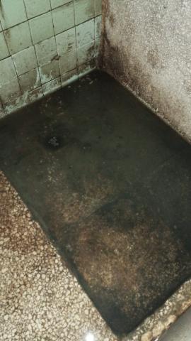 El estado de las duchas.